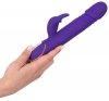 Rabbit skater purple