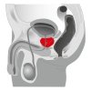 Masażer prostaty stymulator analny penetrator odbytu