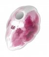 Masażer Satisfyer Cloud Dancer red print
