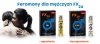 Perfumy z feromonami dla niego FX24 neutral roll-on 5 ml