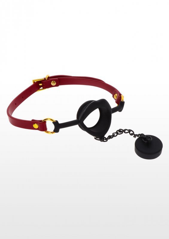 Kinky gag with plug