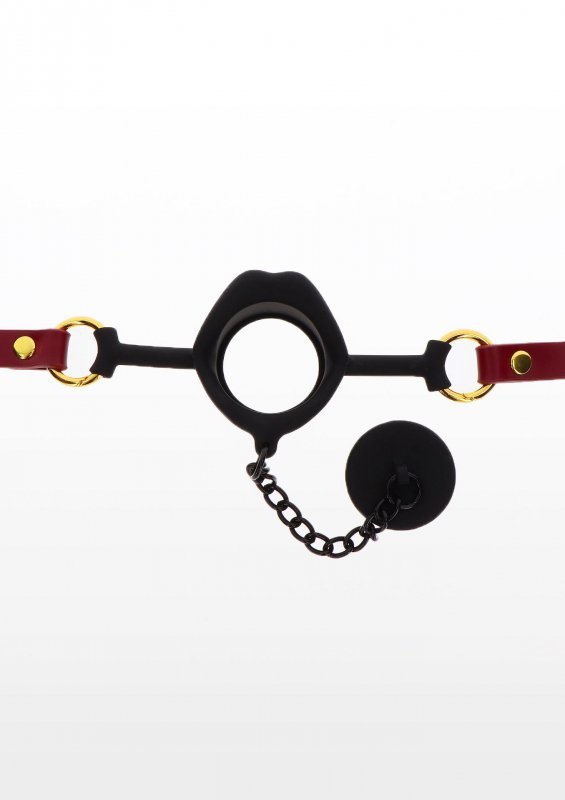 Kinky gag with plug