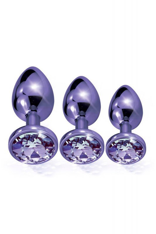 Nixie metal butt plug trainer set, purple metallic