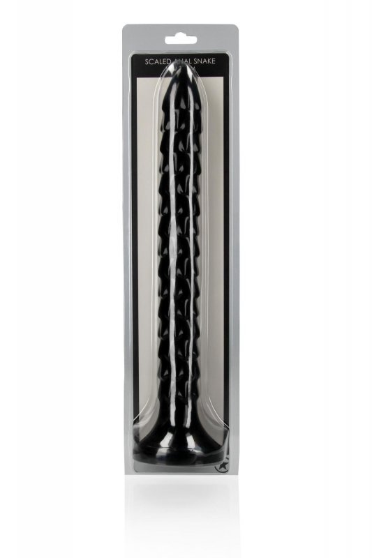 Scaled Anal Snake - 12&#039;&#039;/ 30 cm