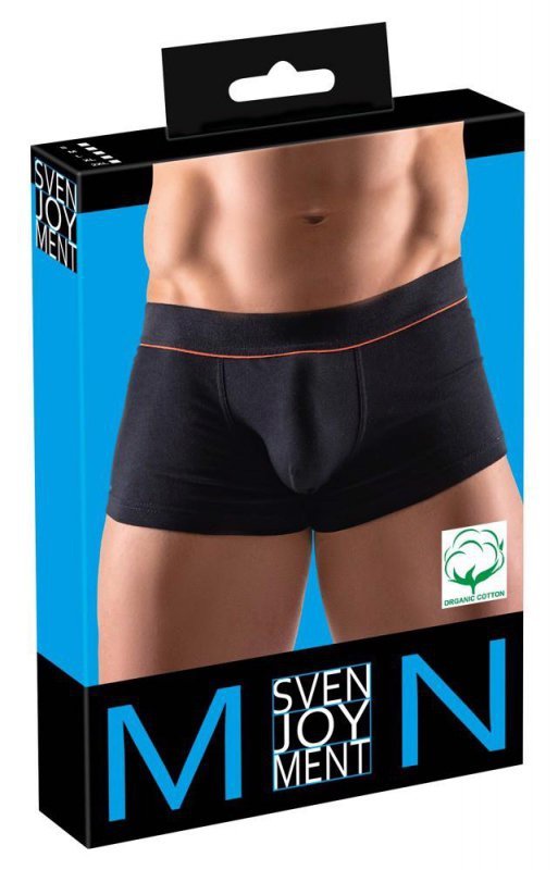 Men's pants  L