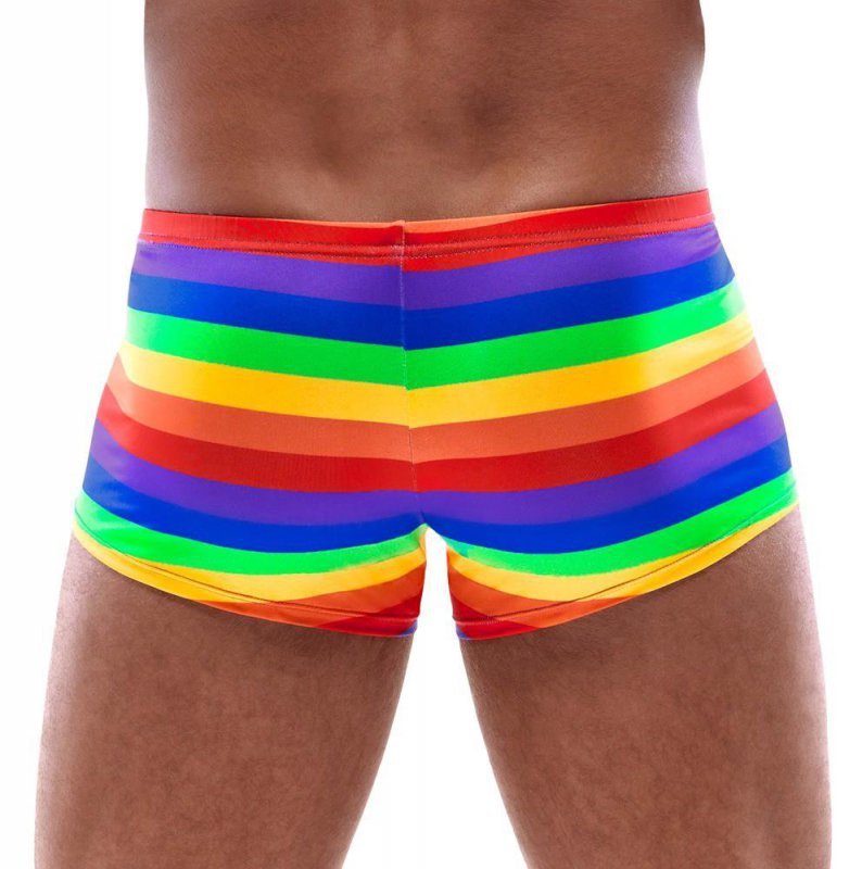 Seksowne bokserki męskie tęcza Men's Boxer Briefs Rainbow L