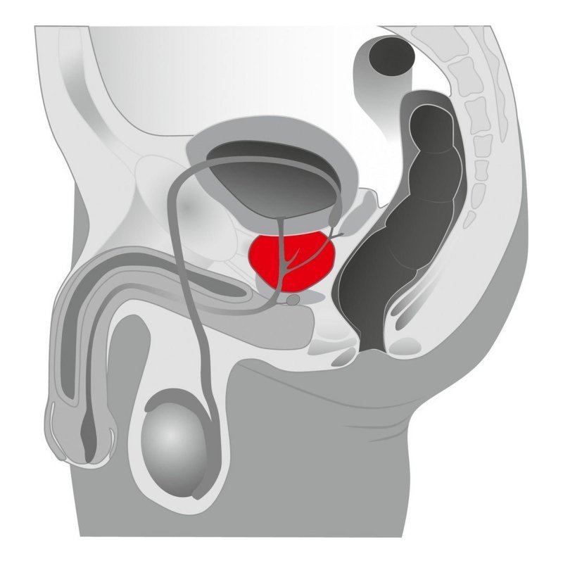 Masażer prostaty stymulator analny penetrator odbytu