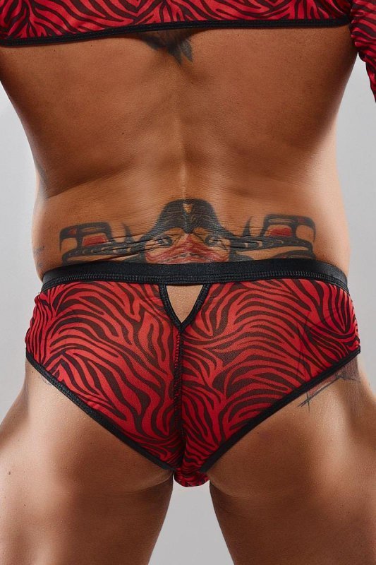 Męskie majtki brazyliany chippendales błyszczące - L