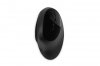 Bezprzewodowa mysz  Pro Fit Ergo Black