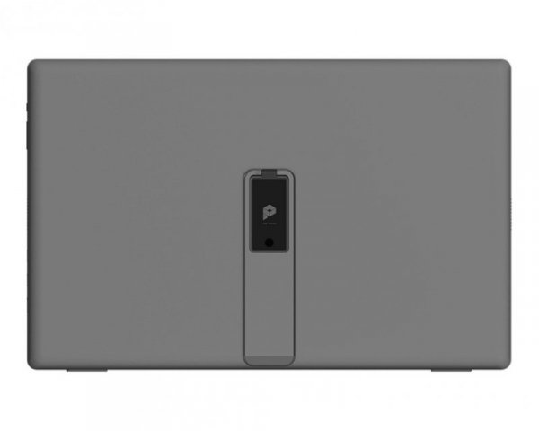 Monitor 15.6 cala PRO MP161 E2U LED/FHD/Flat/60Hz/szary