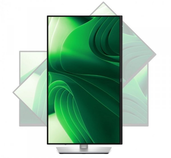 Monitor 23.8 cala P2425D  IPS LED  QHD (2560x1440)/16:9/HDMI/DP/USB-C/3x USB/5Y AES&PPG