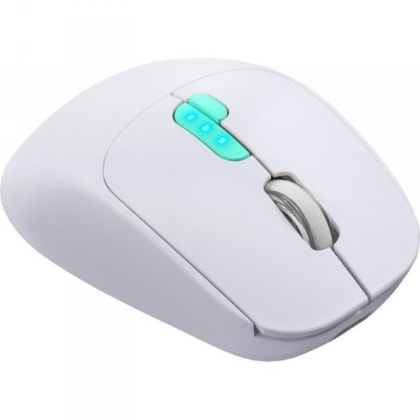 Mysz bezprzewodowa NITTA MM-307 RF+BT 1600DPI 6P biała