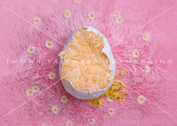 Newborn digital backdrop / tło cyfrowe Pink Egg