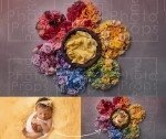 Tło cyfrowe tęczowy Kwiatowy Kwiat / Newborn digital backdrop raibow baby