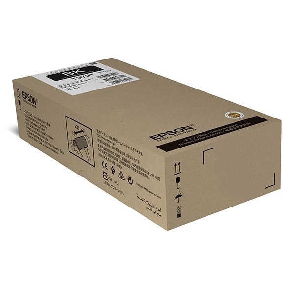 Epson oryginalny ink / tusz C13T97310N, black