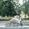 Hulajnoga amortyzowana składana inSPORTline Wayomint