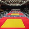 Mata do ćwiczeń sportów walki Judo Tatami Taishan 200x100x4 cm żółta