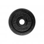 Obciążenie żeliwne na gryf inSPORTline CastCzech 1,25 kg 30 mm