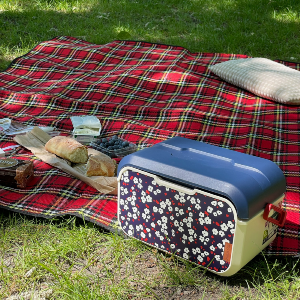 Mini lodówka turystyczna 5L KAMAI EDA wzór kwiat wiśni, lunchox na wkłady mrożące -  waniliowy korpus, czerwona rączka, błękitna