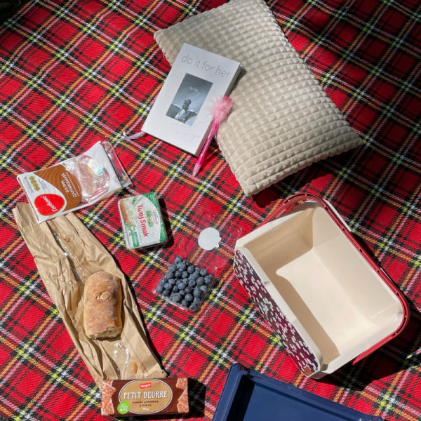 Mini lodówka turystyczna 5L KAMAI EDA wzór kwiat wiśni, lunchox na wkłady mrożące -  waniliowy korpus, czerwona rączka, błękitna