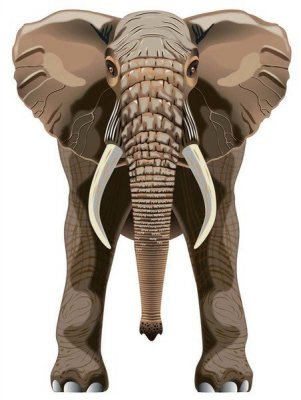 Latawiec BRAINSTORM - WNS SkyZoo 40x30&#039;&#039; Nylon Elephant