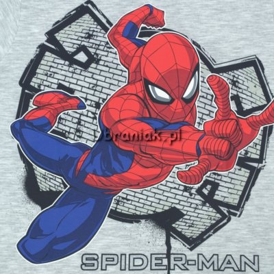 T-shirt Spider-man szary