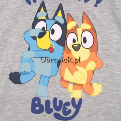 Bluzka Bluey szara dla chłopca