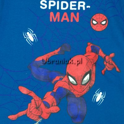 Spiderman niebieska bluzka dla chłopca