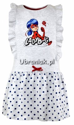 Sukienka Miraculum Biedronka Czarny Kot szara 