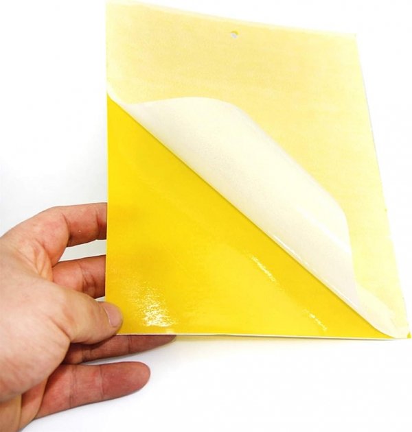 LEP DO DONICZEK SZKLARNI NA MSZYCE ZIEMIÓRKI MUSZKI MRÓWKI DO KWIATÓW 20X (tds0486)