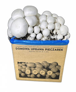 Pieczarka BIAŁA zestaw do uprawy 28kg