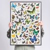 CzuCzu Puzzle Puzzlove Motyle 1000 elementów