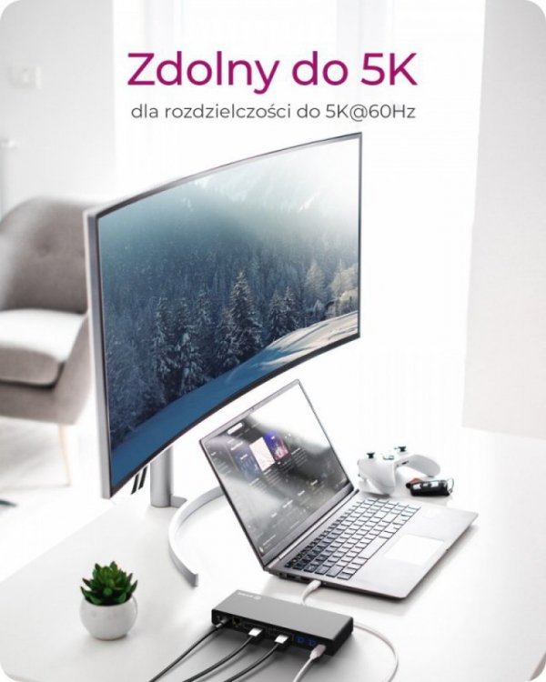 IcyBox Stacja dokująca IB-DK2245AC 13w1, 2xDP,2xHDI,USB, LAN, USB-C, PD do 60W