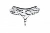 QUAGIA THONG Stringi wzór zebra