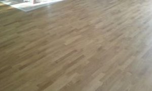 PARKIET DĘBOWY KL2      24x7x2,2 cm   surowy