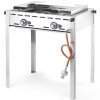 Grill gazowy Green Fire 2 palniki 11,6kW z osłoną i półką - Hendi 149508