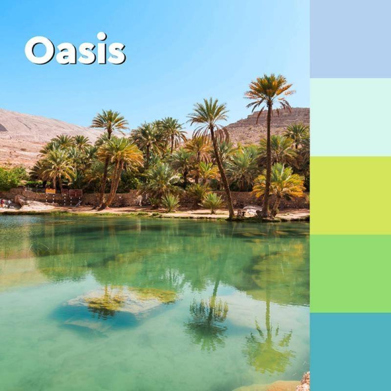 KARTECZKI SAMOPRZYLEPNE OASIS, W LINIĘ, 101X101MM 3M POST-IT® SUPER STICKY XL W LINIĘ 3X70 KART