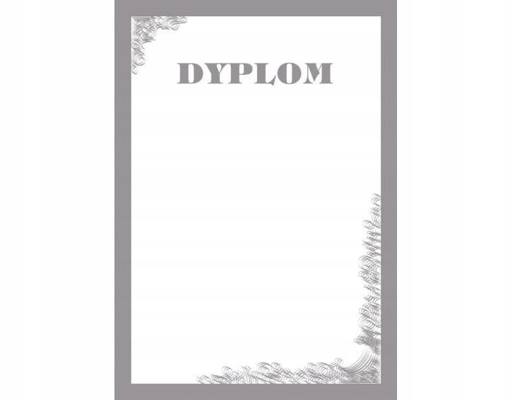 PAPIER OZDOBNY DYPLOM - SILVER DYPLOM - A4 25 ark