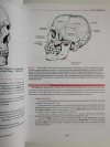 ANATOMIA STOMATOLOGICZNA WOELFELA