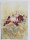 MALUTKI KOTEK BAWIĄCY SIĘ Z KACZUSZKĄ. GIORDANO ART