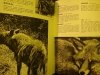 ZOO KRAKOWSKIE - Stanisław Czerny