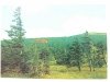 KARKONOSZE. SCHRONISKO PTTK 'ODRODZENIE' FOT. M. ZALESKI