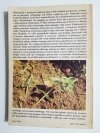 PRZEWODNIK ZIOŁOLECZNICTWA LUDOWEGO - E. Kuźniewski 1986