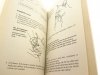 PIERWSZA POMOC. KOTY - Bruce Fogle 1995