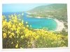 CAVOLI. ISOLA D'ELBA