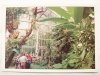 POZNAŃ – PALMIARNIA FOT. ZBIGNIEW STASZYSZYN