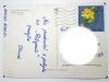 POJEZIERZE MAZURSKIE. NA JEZIORZE KISAJNO FOT. SUMIŃSKI