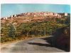 ISOLA D'ELBA CAPOLIVERI PANORAMA
