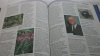 OXFORD. WIELKA ENCYKLOPEDIA ŚWIATA TOM VII 2004