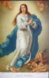 VIRGO POTENS